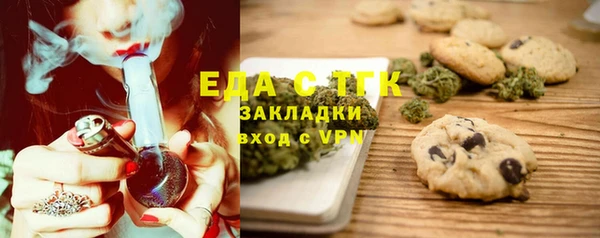 СК Вязьма