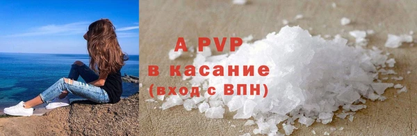 СК Вязьма