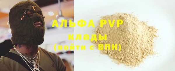 СК Вязьма