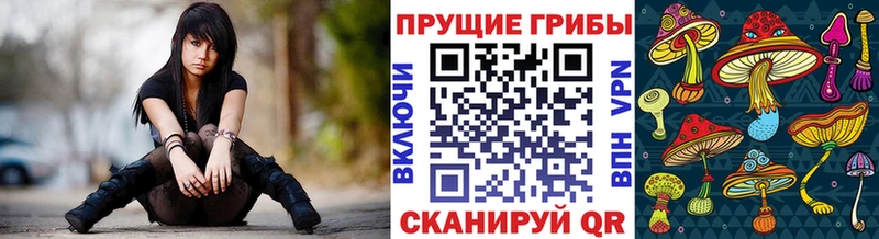 Галлюциногенные грибы прущие грибы  Ижевск 