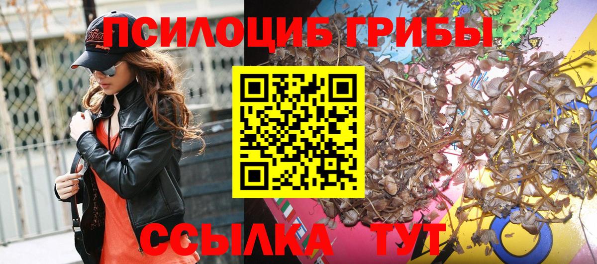 Псилоцибиновые грибы прущие грибы  Галлюциногенные грибы Cubensis  Вход с VPN  Ижевск 