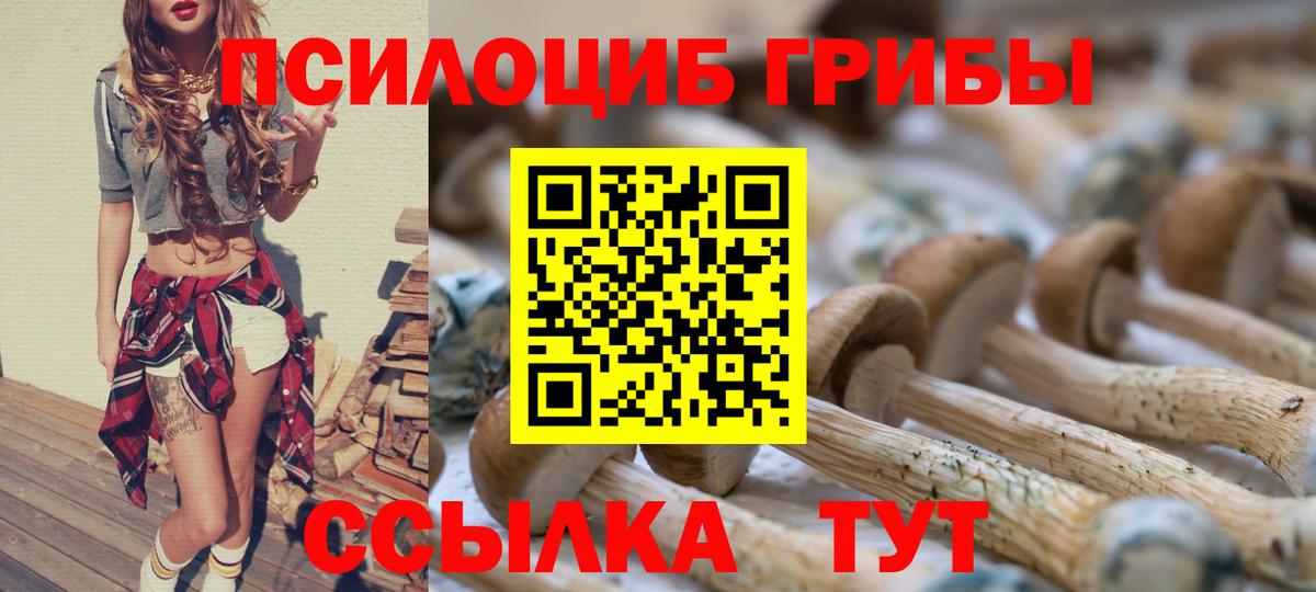 Галлюциногенные грибы мицелий Ижевск