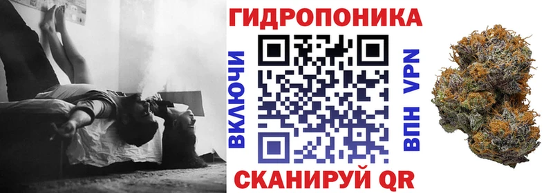 OMG зеркало  Ижевск  Бошки марихуана VHQ  даркнет сайт 